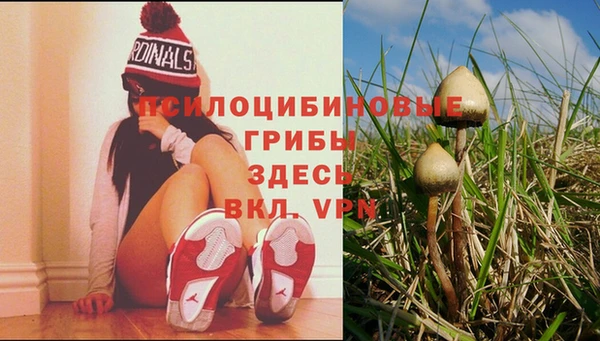 герыч Бердск