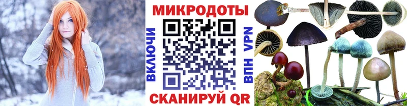 Псилоцибиновые грибы GOLDEN TEACHER  MEGA ONION  Барнаул  купить наркотики сайты 